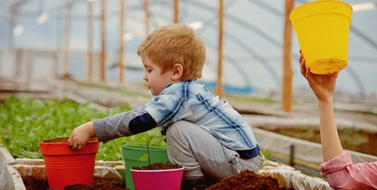 State Laws Aim to Reverse Baby Bust and Cut IVF Costs