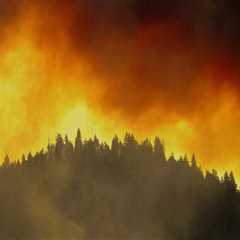 How to Report a Fire in Portland, Oregon: A Comprehensive Guide