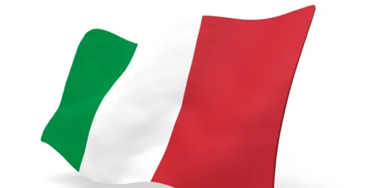 Considerations for Italian Companies Expanding into the US Market