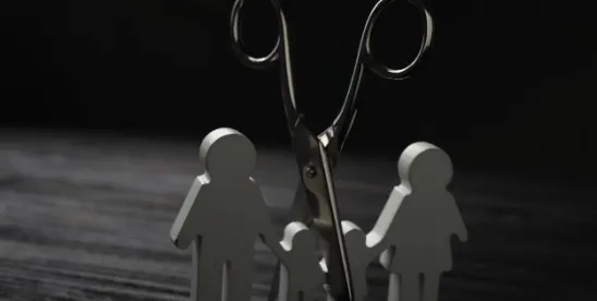 New York Appellate Court Affirms Denial of Temporary Spousal Maintenance In Contested Divorce