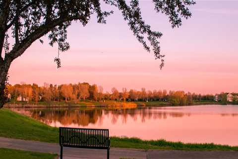 The Changing Landscape of Charitable Campaigns in Blaine, Minnesota