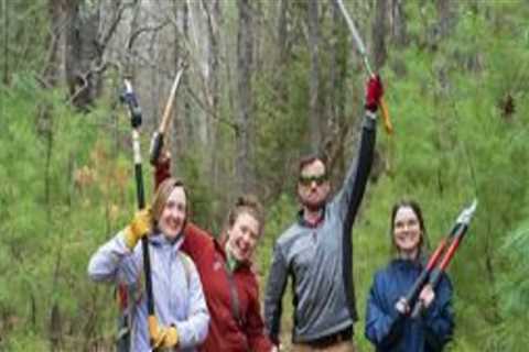 The Power of Volunteers in Nonprofit Organizations in Central Virginia