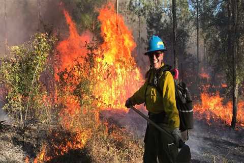 Managing Wildfires for Habitat Conservation in Southwest Florida