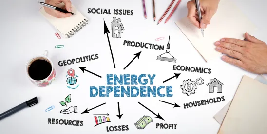 2025 in Review: International Nuclear Energy Updates