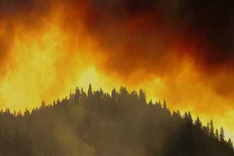 How to Report a Fire in Portland, Oregon: A Comprehensive Guide