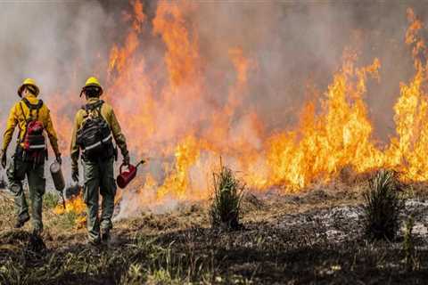 Understanding the Workforce: Firefighters in Portland, Oregon