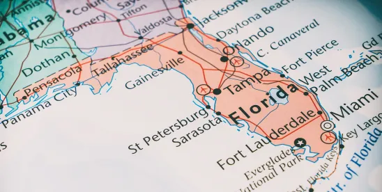 Sibling Rivalry - Florida v. California