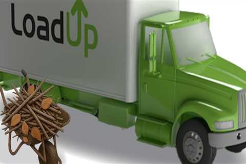 The Ultimate Guide to Curbside Recycling Pick-Up in Lansing, Michigan