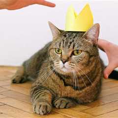 Editor’s Picks: The Funniest, Dumbest, and Okayest News of 2025