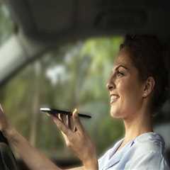 Driving with Pets in Fayetteville, Georgia: Essential Policies and Best Practices