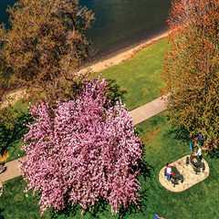 A Comprehensive Guide to Partnering with Nonprofit Organizations in Pasco, Washington