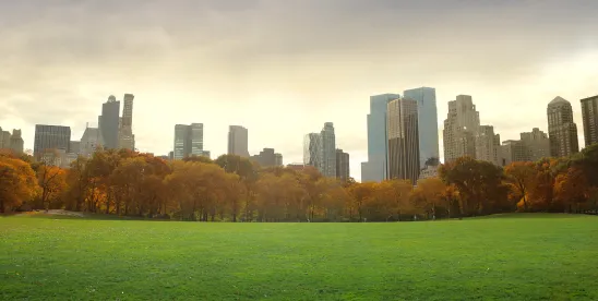 NYC to Join Other Jurisdictions in Requiring Employer Pay Data Reporting