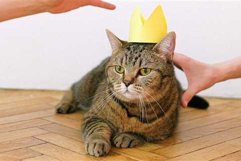 Editor’s Picks: The Funniest, Dumbest, and Okayest News of 2025