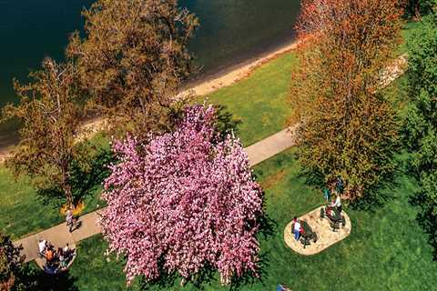 A Comprehensive Guide to Partnering with Nonprofit Organizations in Pasco, Washington