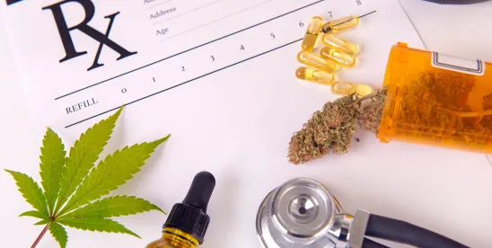 Cannabis and Employment Law- The Year Ahead in 2026