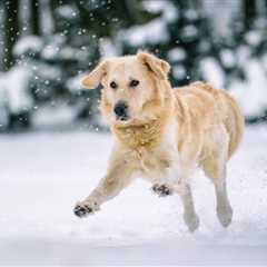 Monday Morning Accounting News Brief: This Doesn’t Bode Well For Accounting Graduate Hiring; Firm’s ..