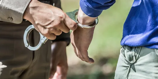 Voluntary Disclosure by Applicant of Criminal Conviction History Triggers Protections Under State..