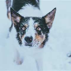 Friday Footnotes: Bill Wants to Turn Accounting STEM; Goodwill is Back on the Agenda | 2.6.26