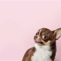 ICYMI: According to This AI CEO You Won’t Have to Go to Work in a Year