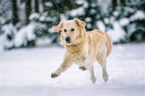 Monday Morning Accounting News Brief: This Doesn’t Bode Well For Accounting Graduate Hiring; Firm’s ..