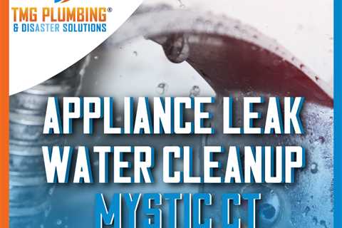Appliance leak water cleanup Mystic CT
