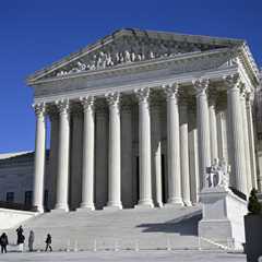 Birthright citizenship: legal takeaways of mice and men and elephants and dogs