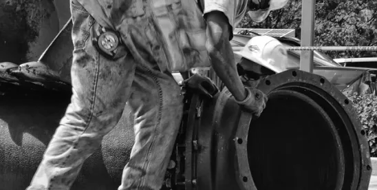 2026 Outlook for Maritime Biofuels