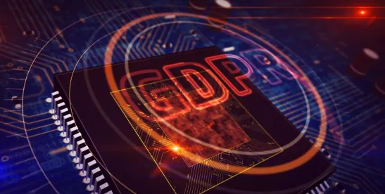 EDPB Binding Decisions Can Be Challenged Directly by Organizations Before EU Courts