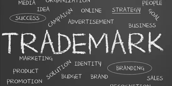 Fame Isn’t Everything: Australian Designer Trumps Popstar After Long-Running KATY/KATIE PERRY Trade ..