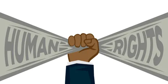 What Every Multinational Should Know About … How to Cope with New Court Decisions Expanding Supply..