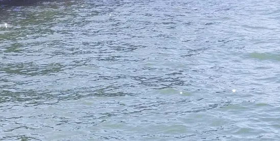 BOEM Proposes Amendments to Its 2024 Offshore Financial Assurance Rule