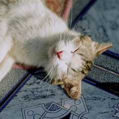 Monday Morning Accounting News Brief: You Can’t Spell Audit Without AI; An Elaborate Scheme to..