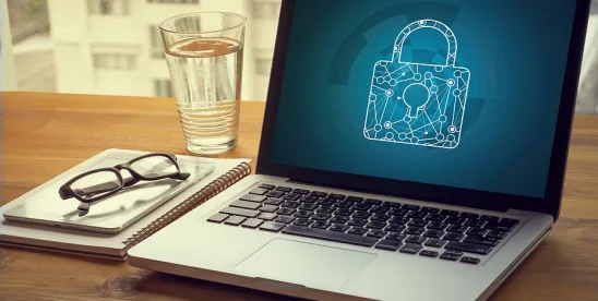 OUT OF SIGHT, OUT OF STANDING: Why One Plaintiff Saw Standing and The Other Didn’t