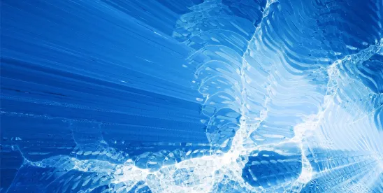 Ninth Circuit Reinforces “Reasonable Consumer” Standard in Water Filter Advertising Case