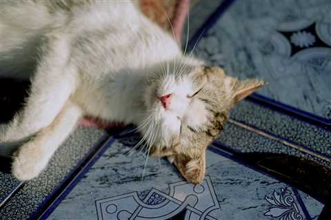 Monday Morning Accounting News Brief: You Can’t Spell Audit Without AI; An Elaborate Scheme to..