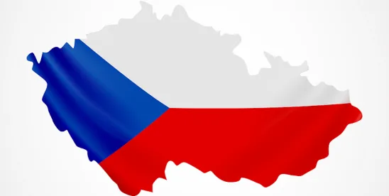 EU Pay Transparency Directive Implementation in the Czech Republic and Slovakia
