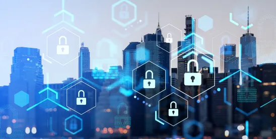 Global Data Protection Insights