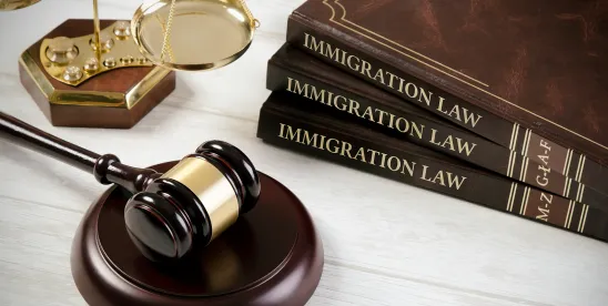 INTERPOL Notice in U.S. Immigration Law: How They Affect Visa, Asylum, and Naturalization Cases