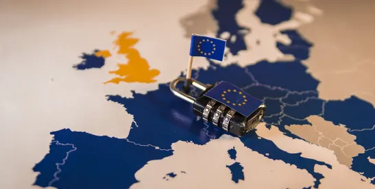 European Court Rules on When First Access Requests May be Excessive