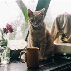 Monday Morning Accounting News Brief: Claude Starts a Turf War With Consulting; An Article About..