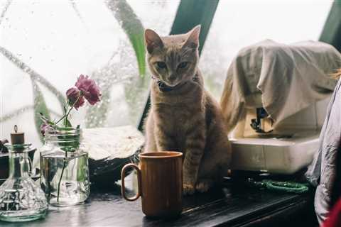 Monday Morning Accounting News Brief: Claude Starts a Turf War With Consulting; An Article About..