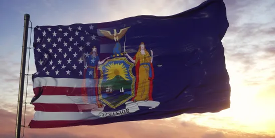New York's 2026 Tort Reform: Key Changes to New York State Civil Procedure Laws With Respect to..