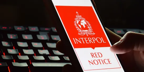 How INTERPOL Finds and Tracks People: Red Notices, Diffusions, and Airport Hits Explained