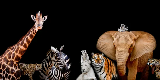 Federal Agencies Finalize Rescission of “Harm” Definition Under Endangered Species Act