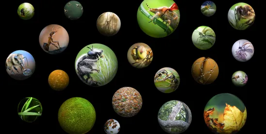FWS and NMFS Finalize Rescission of ESA “Harm” Definition