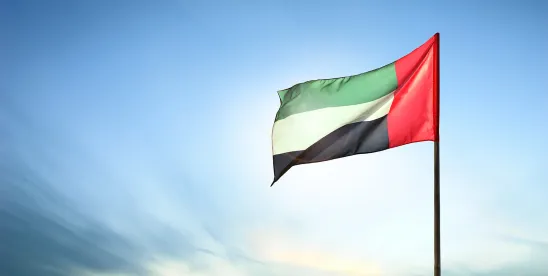 Cross-Border Catch-Up: Liberalization and Compliance—What’s Changing for Employers in the UAE..