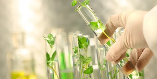 OECD Publishes Policy Paper on Anticipatory Governance for Responsible Innovation in Synthetic..