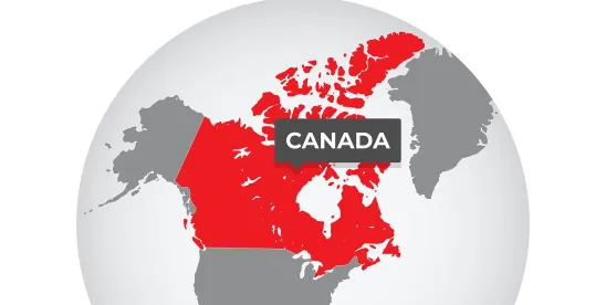E-2 Visa Case Study: E-2 Change of Status Approval for Canadian Investor Launching Florida..