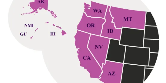 TRACKED AND TRACED?: C.D. Cal. Lets CIPA Claims Against Wayfair Move Forward, But Tosses Pen..