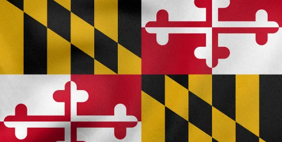 An Employer’s Guide to Filing a Declaration of Intent for a Maryland FAMLI Private Plan